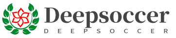 Deepsoccer.de